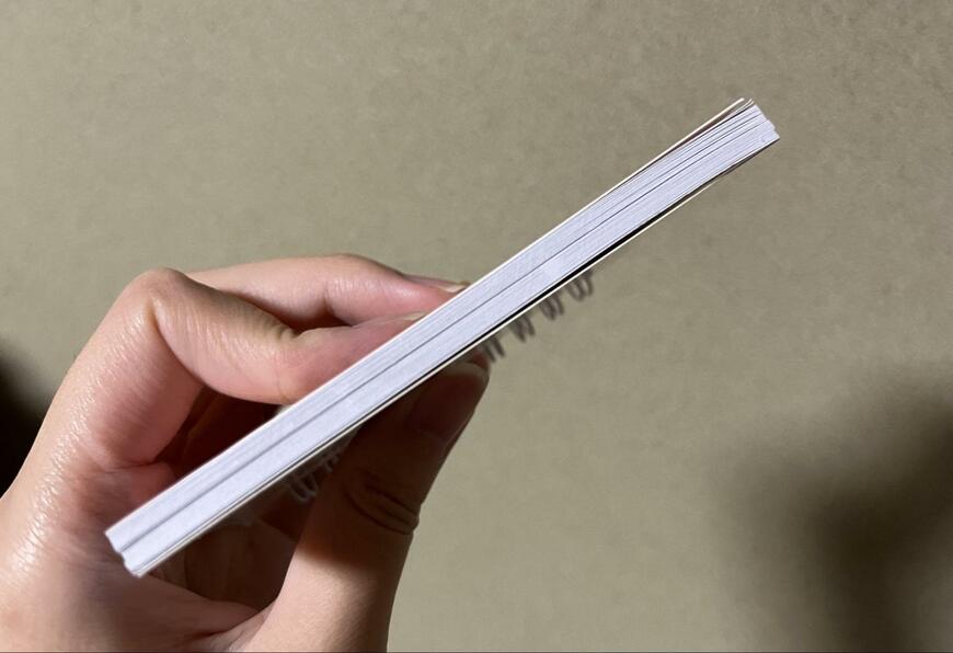 セリア、mofusand リングメモ帳（横型） 全3種画像