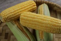 公的年金から【天引きされる税金と社会保険料】は何？天引きを止めることは可能なのか