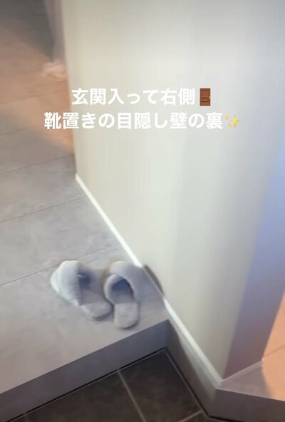 変身前の玄関まわり