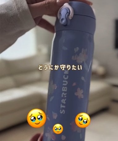 投稿の画像