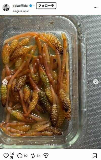 ローラのInstagram投稿
