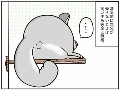 チンチライフ187話