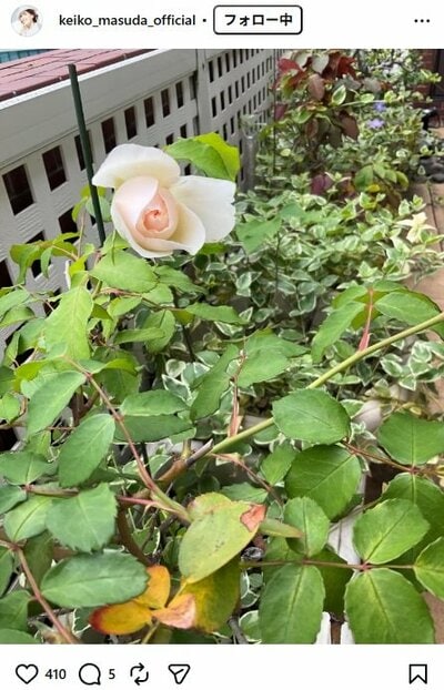 増田惠子のInstagram投稿