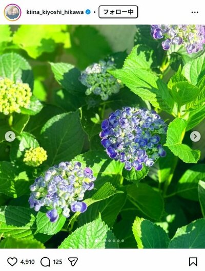 氷川きよしのInstagram投稿