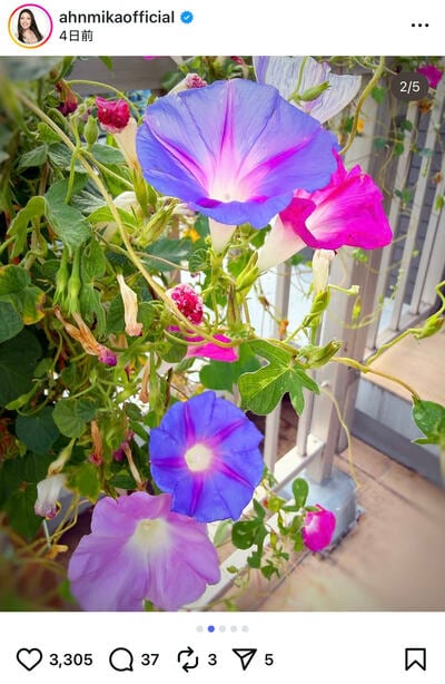 アンミカのInstagram投稿