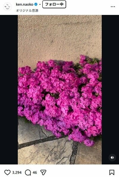 研ナオコのInstagram投稿