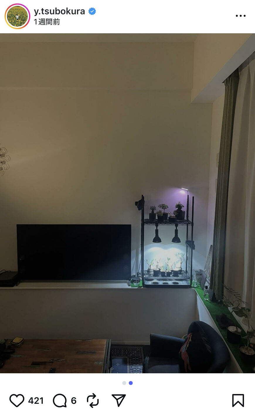 出所：坪倉由幸のInstagram（＠y.tsubokura）参照日：2025年9月25日