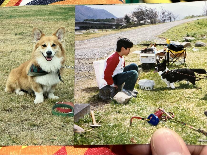 出所：@KAKKAtoGEBOKU