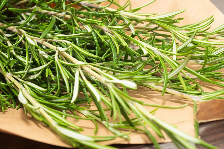 pictureguy-303/Shutterstock.com