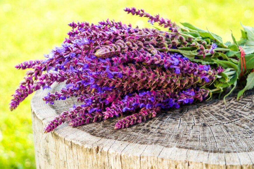 Peppersmint/istockphoto.com