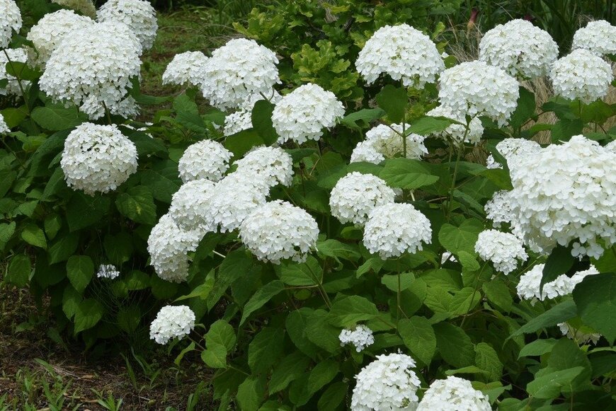 undefined undefined/istockphoto.com