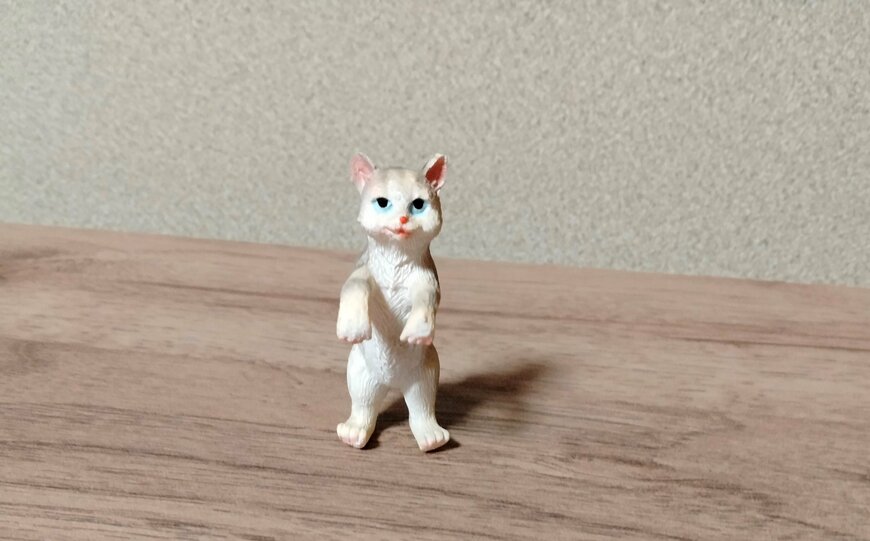 筆者撮影（ダイソー、縁にかけられるアニマル（猫））