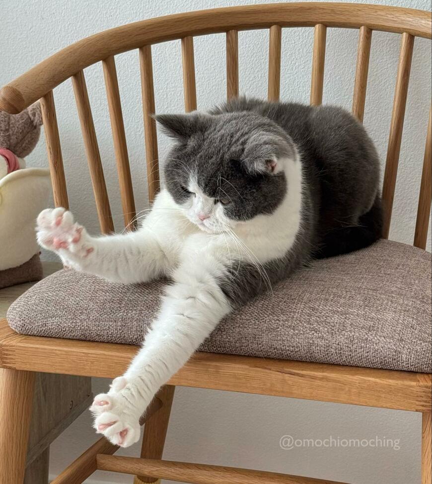 出所：@omochiomoching