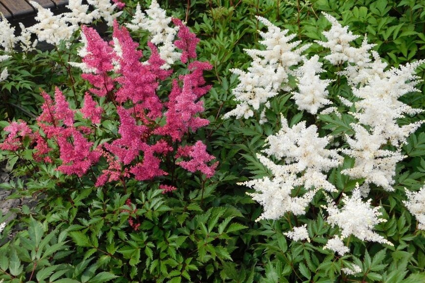 KrasSandr/shutterstock.com