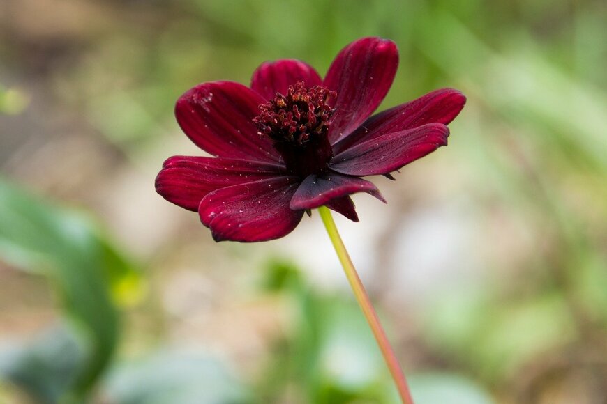 kinpouge05/istockphoto.com