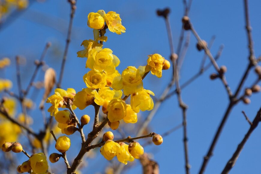 High Mountain/Shutterstock.com