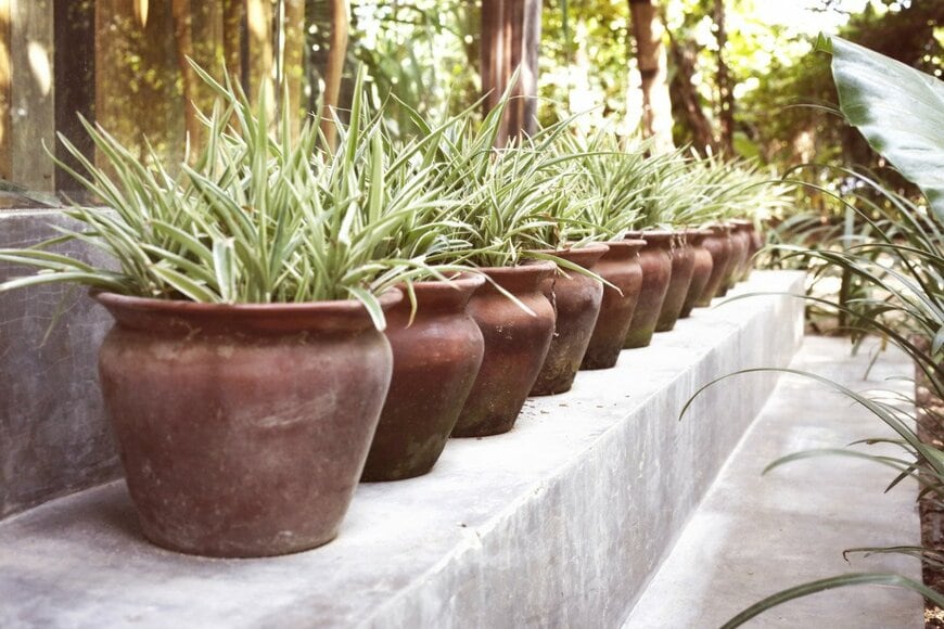 triocean/istockphoto.com