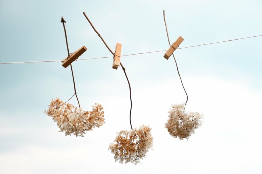 Alin_Kris/shutterstock.com