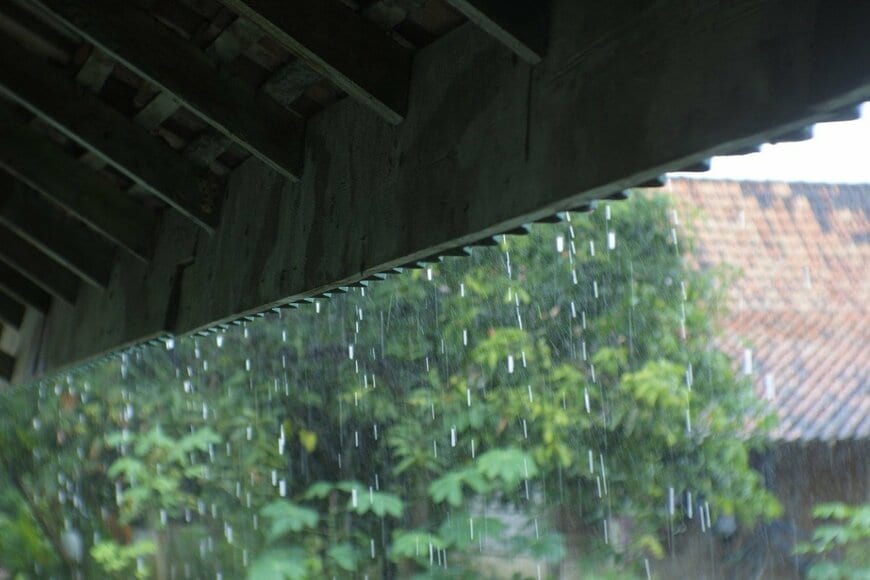 noegrr/istockphoto.com