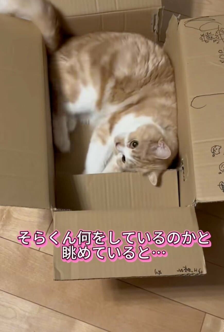 出所：@sorakai0905