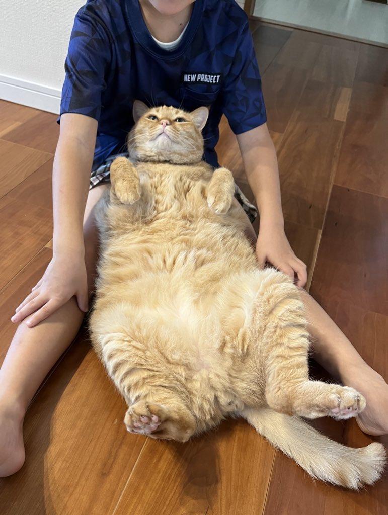 出所：@kagisuzu0531