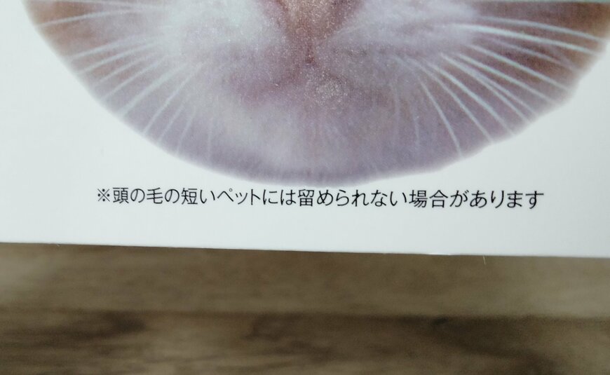 筆者撮影（セリア、ペット用クラウン）