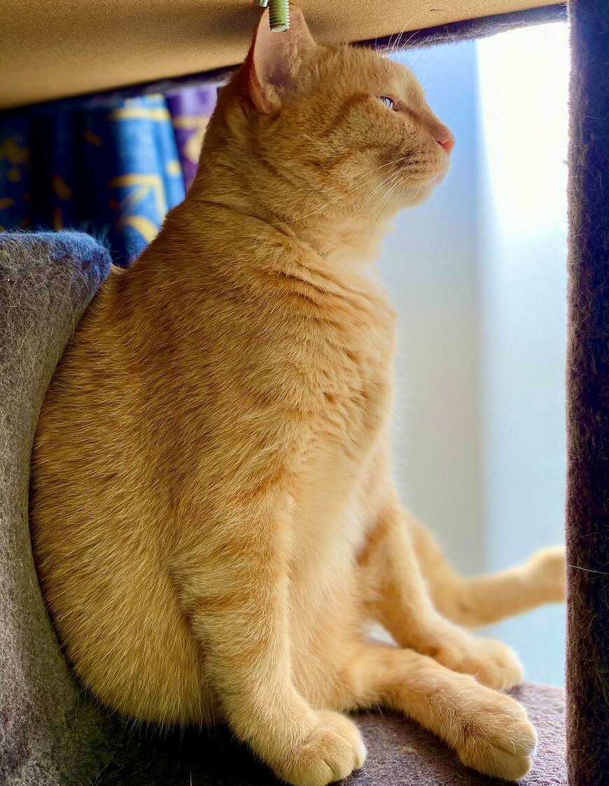 出所：@luna7taka9