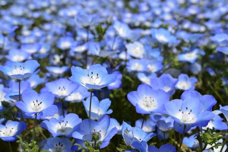 Tonic R/istockphoto.com