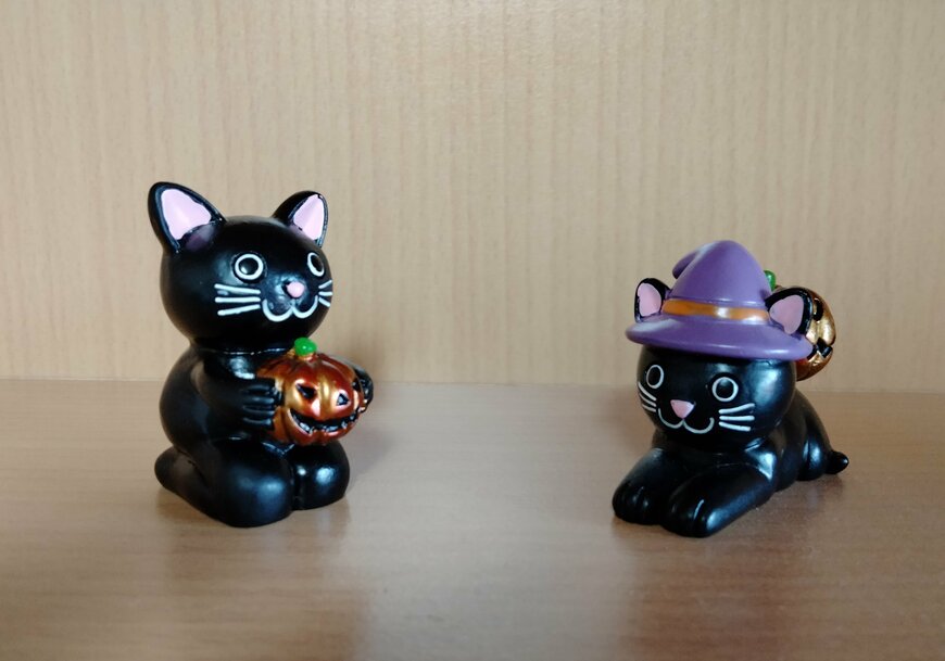 筆者撮影（セリア、リトルフレンドキャットJ・O・L）