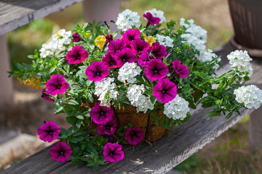 Klever_ok/Shutterstock.com