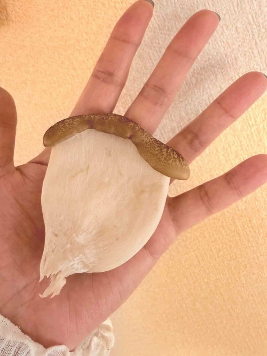 出所：＠saki.nb358