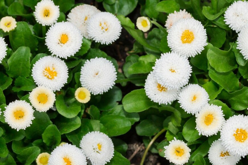 NonChanon/istockphoto.com