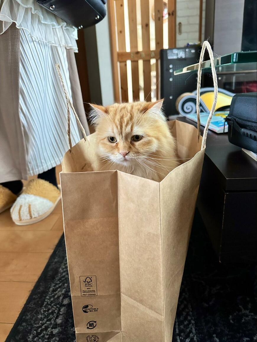 出所：@NEKOLAND13