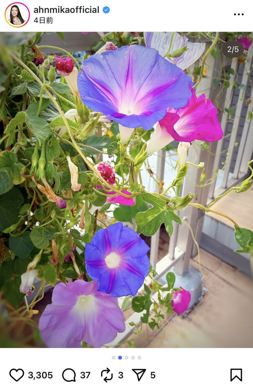 出所：アンミカのInstagram（＠ahnmikaofficial）参照日：2025年10月2日