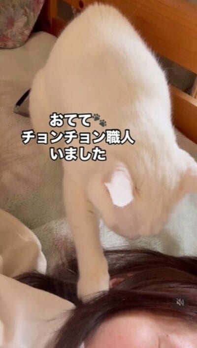 出所：@mayumi196300