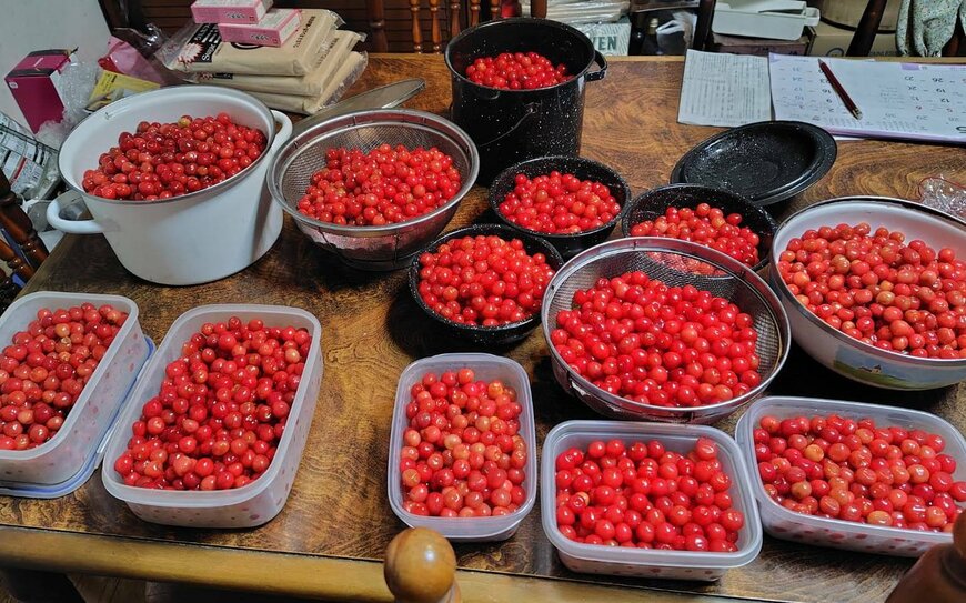 出所：@kimidori_itame