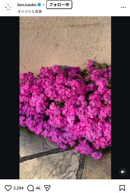 出所：研ナオコのInstagram（＠ken.naoko）　参照日：2026年3月30日