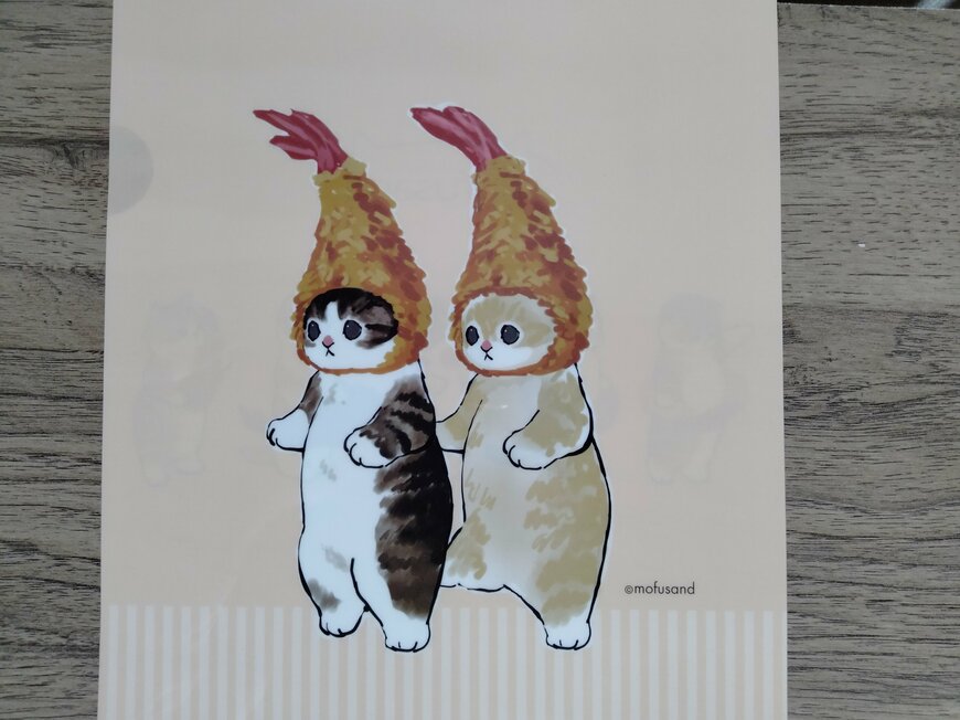 筆者撮影（セリア、モフサンド A4クリアファイル2）