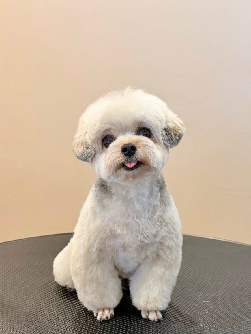 出所：@potage_0924