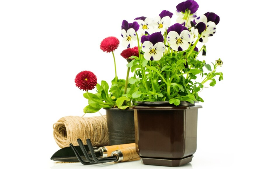 victoriya89/istockphoto.com