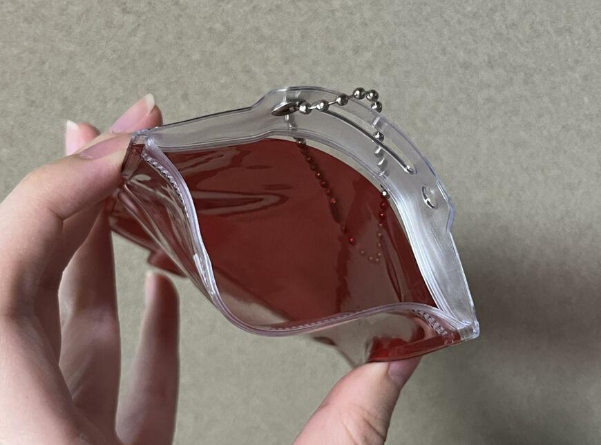 筆者撮影（セリア、PVCジップバッグ チェーン付き ブラッドバック）