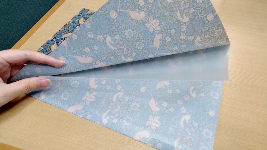 筆者撮影（セリア、A4クリアホルダー3ポケット）