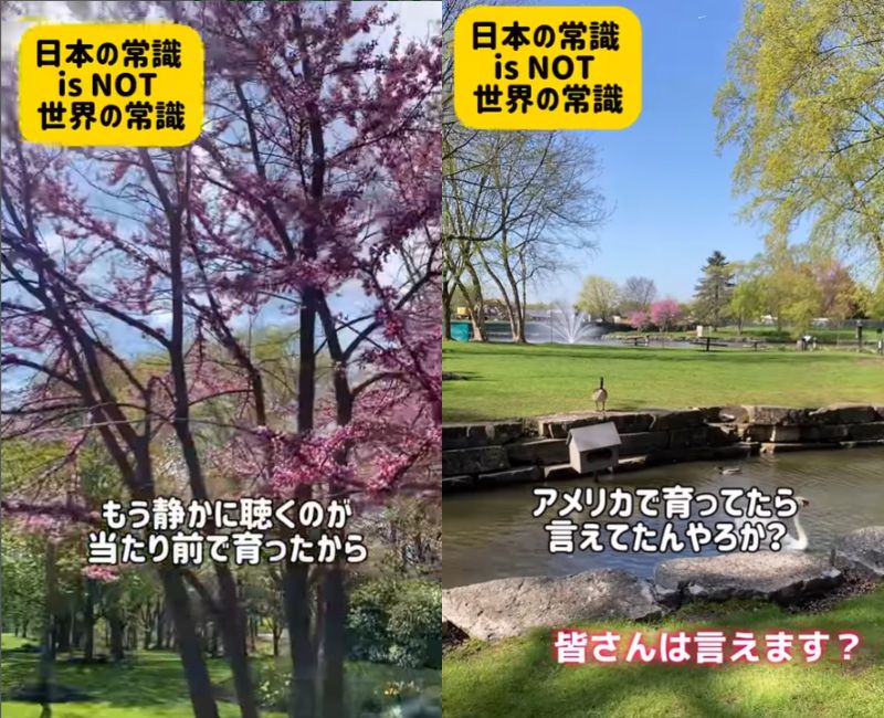 投稿動画のワンシーン