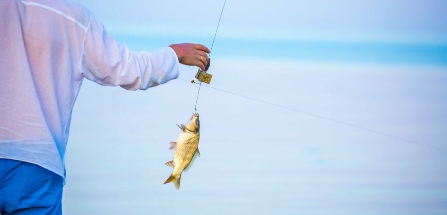 釣りにかかる平均的な年間費用は5万2000円