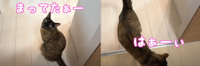 投稿動画のワンシーン