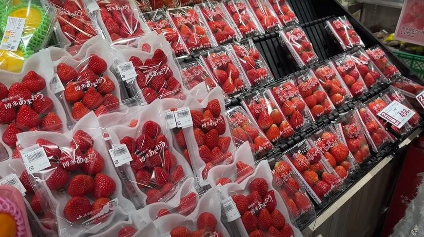 初めての日本のスーパーマーケット