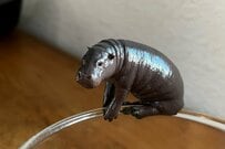 千葉県の動物園で見つけた「コビトカバ」のカプセルトイ　リアルすぎるデザインが話題に