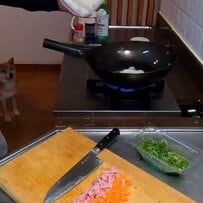 「フタ閉まる？」父が高校生の息子に作る【チャーハン弁当】　鉄鍋で作った本格的ガッツリチャーハンが超大盛り