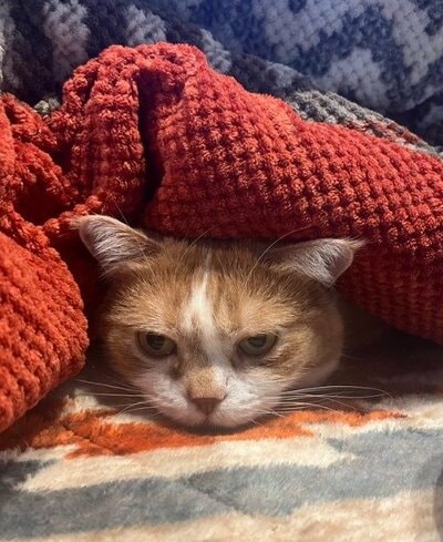 少し暑い様子の虎太郎くん