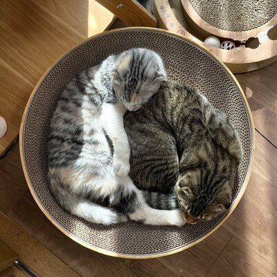 投稿の画像